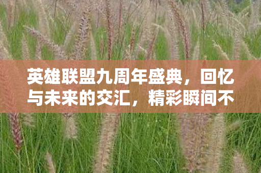 英雄联盟九周年盛典图片