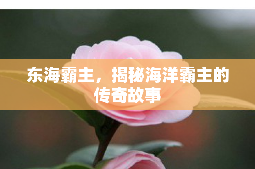 揭秘海洋霸主的传奇故事图片