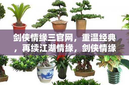 剑侠情缘三官网，重温经典，再续江湖情缘，剑侠情缘三官网，重温经典，再续江湖情缘