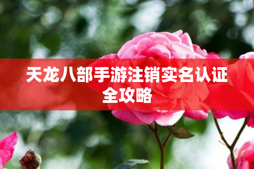 天龙八部手游注销实名认证全攻略图片