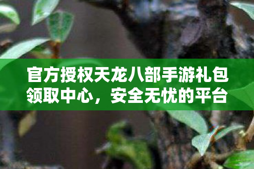 官方授权天龙八部手游礼包领取中心图片
