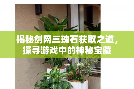 揭秘剑网三瑰石获取之道图片