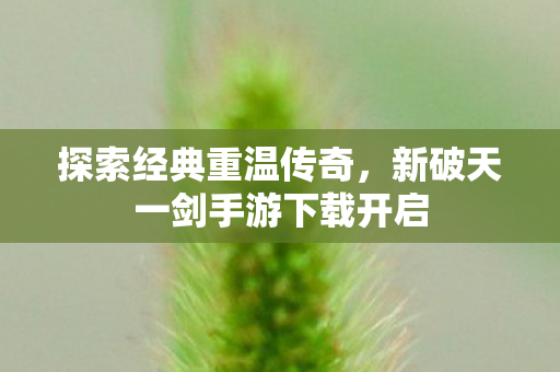 新破天一剑手游下载开启图片