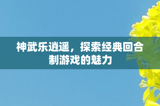探索经典回合制游戏的魅力图片