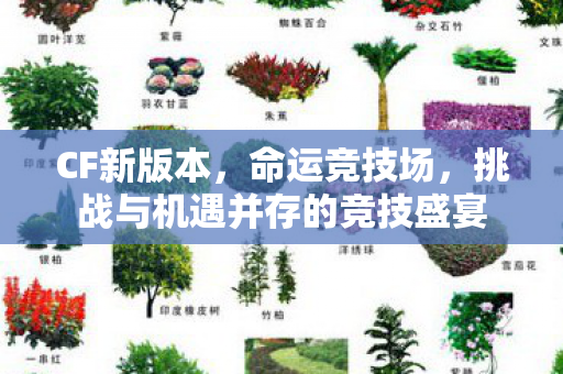挑战与机遇并存的竞技盛宴图片
