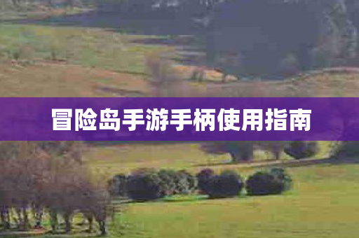 冒险岛手游手柄使用指南图片