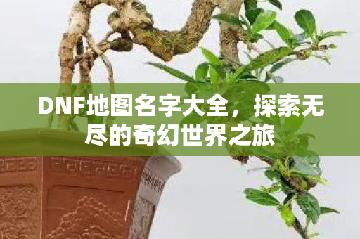 探索无尽的奇幻世界之旅图片