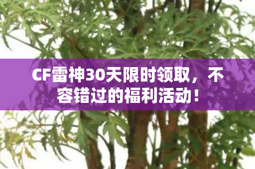 CF雷神30天限时领取图片