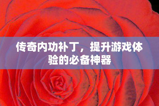 提升游戏体验的必备神器图片