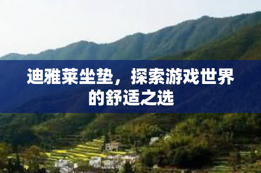 探索游戏世界的舒适之选图片