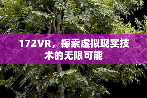 探索虚拟现实技术的无限可能图片