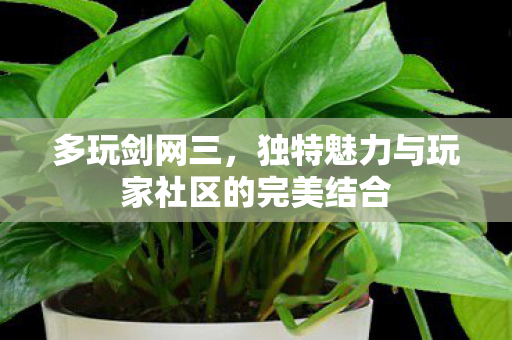独特魅力与玩家社区的完美结合图片