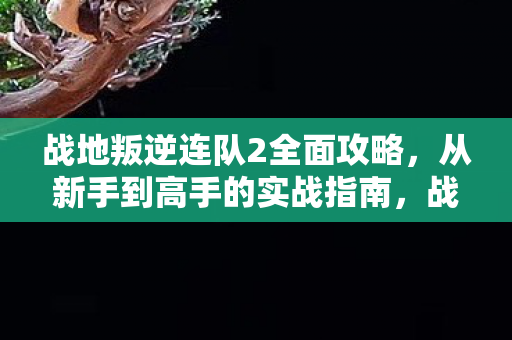 战地叛逆连队2全面攻略,从新手到高手的实战指南,战地叛逆连队2全面攻略,从新手到高手的实战指南 战地叛逆连队2全面攻略,从新手到高手的实战指南,战地叛逆连队2全面攻略,从新手到高手的实战指南