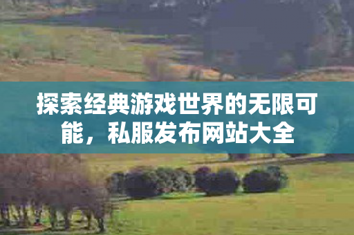 探索经典游戏世界的无限可能图片