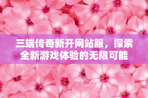 探索全新游戏体验的无限可能图片