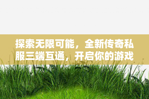 全新传奇私服三端互通图片