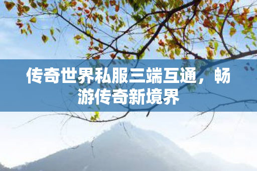 传奇世界私服三端互通图片