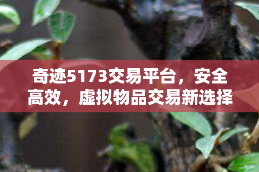 奇迹5173交易平台图片