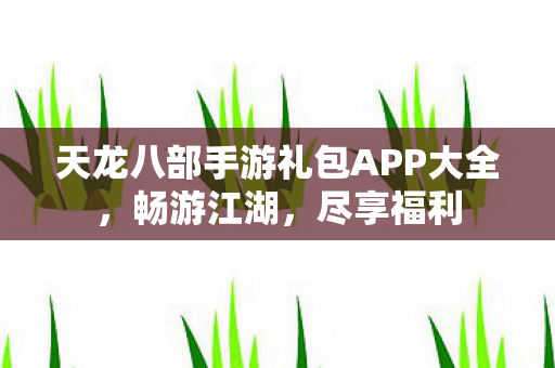 天龙八部手游礼包APP大全图片