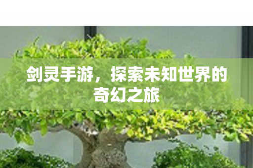 探索未知世界的奇幻之旅图片