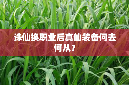 诛仙换职业后真仙装备何去何从图片