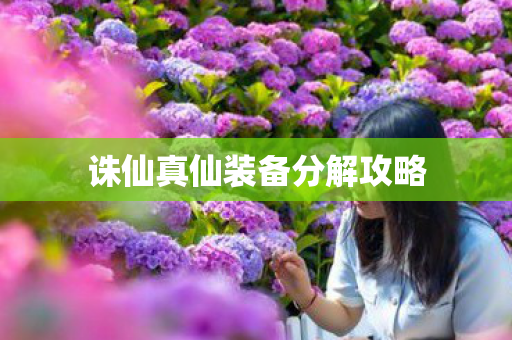 诛仙真仙装备分解攻略图片