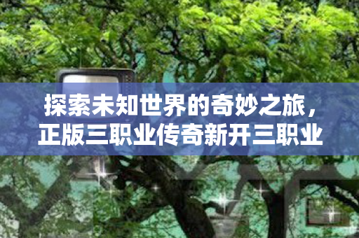 正版三职业传奇新开三职业传奇私服图片
