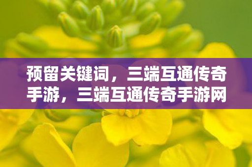 三端互通传奇手游网站下载图片