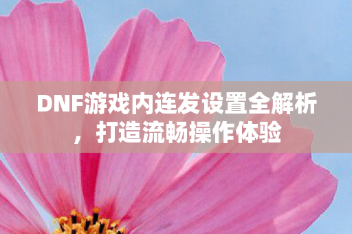 DNF游戏内连发设置全解析图片