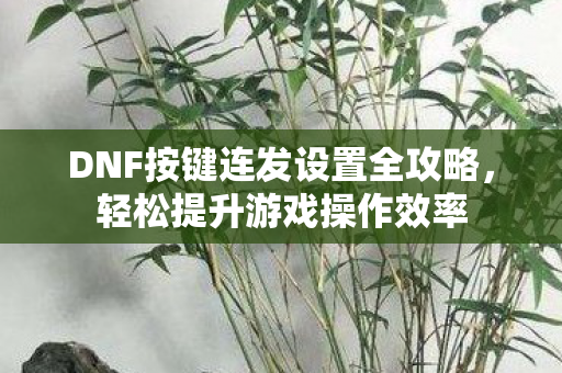 DNF按键连发设置全攻略图片