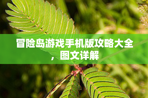 冒险岛游戏手机版攻略大全，图文详解