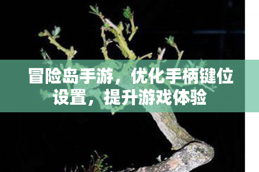 冒险岛手游，优化手柄键位设置，提升游戏体验