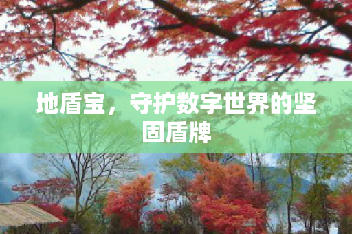 守护数字世界的坚固盾牌图片