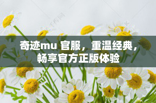 畅享官方正版体验图片
