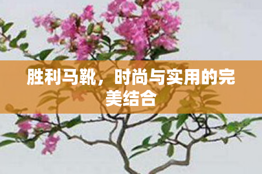 时尚与实用的完美结合图片