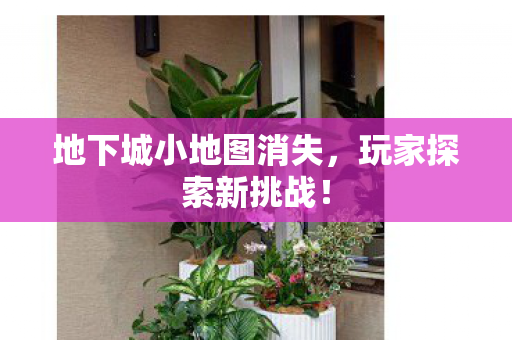 地下城小地图消失图片