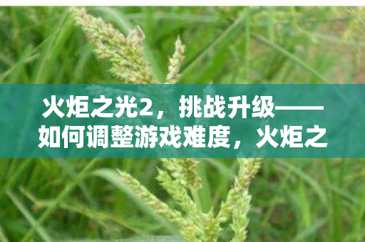 火炬之光2挑战升级图片