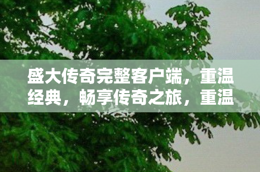 盛大传奇完整客户端,重温经典,畅享传奇之旅,重温经典传奇,畅享盛大传奇完整客户端之旅 盛大传奇完整客户端,重温经典,畅享传奇之旅,重温经典传奇,畅享盛大传奇完整客户端之旅