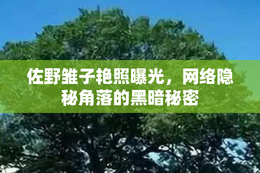 网络隐秘角落的黑暗秘密图片