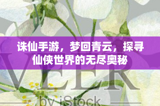 探寻仙侠世界的无尽奥秘图片