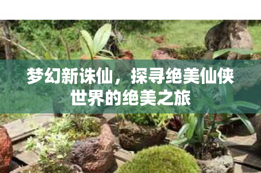 探寻绝美仙侠世界的绝美之旅图片