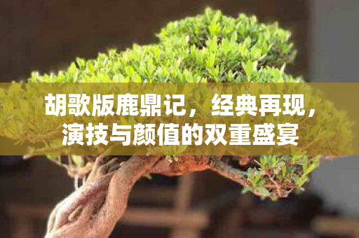演技与颜值的双重盛宴图片
