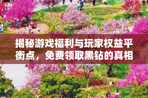 揭秘游戏福利与玩家权益平衡点图片