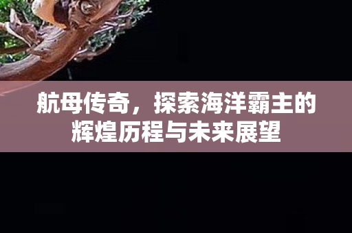 探索海洋霸主的辉煌历程与未来展望图片