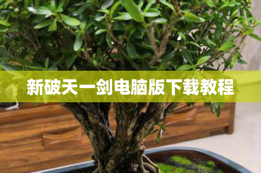 新破天一剑电脑版下载教程图片