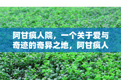 阿甘疯人院，一个关于爱与奇迹的奇异之地，阿甘疯人院，爱与奇迹的奇异之地
