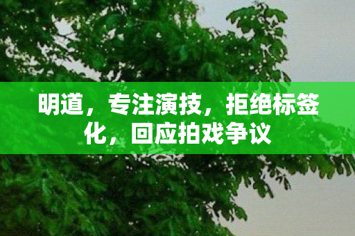 回应拍戏争议图片