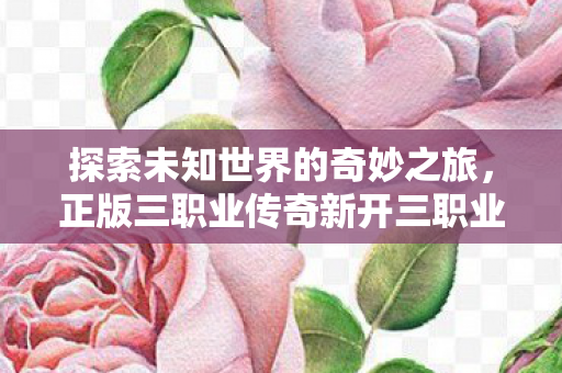 正版三职业传奇新开三职业传奇私服图片