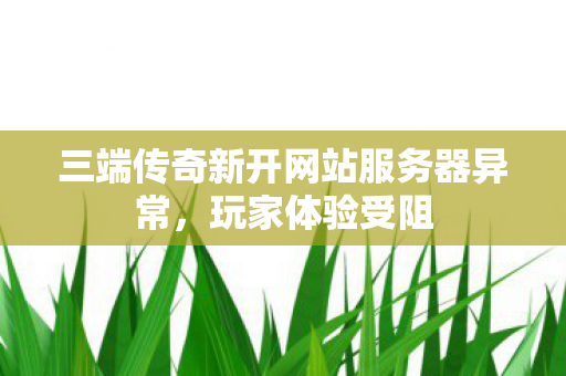 三端传奇新开网站服务器异常图片