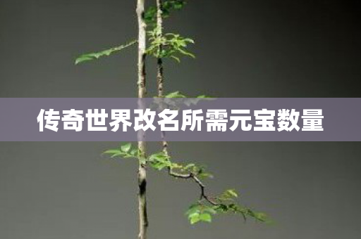 传奇世界改名所需元宝数量图片